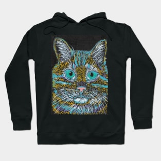 Abstract colorful cat face Hoodie